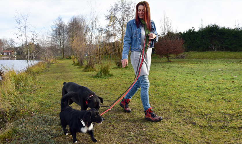 Hundehalter mit zwei Hunden an der Leine